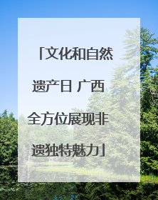 文化和自然遗产日 广西全方位展现非遗独特魅力