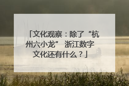 文化观察：除了“杭州六小龙” 浙江数字文化还有什么？