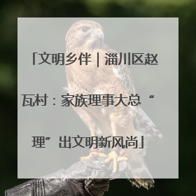 文明乡伴｜淄川区赵瓦村：家族理事大总“理”出文明新风尚