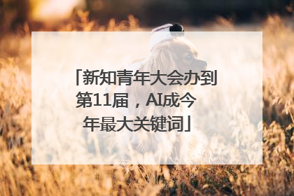新知青年大会办到第11届，AI成今年最大关键词