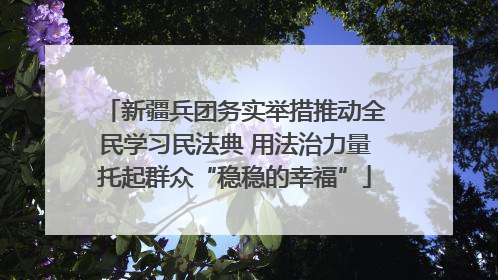 新疆兵团务实举措推动全民学习民法典 用法治力量托起群众“稳稳的幸福”