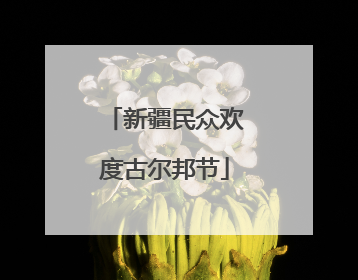 新疆民众欢度古尔邦节