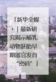 新华全媒+｜最新研究揭示哺乳动物胚胎早期器官发育“密码”
