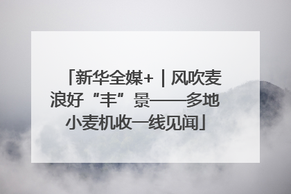 新华全媒+｜风吹麦浪好“丰”景——多地小麦机收一线见闻