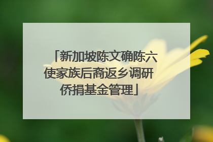 新加坡陈文确陈六使家族后裔返乡调研侨捐基金管理