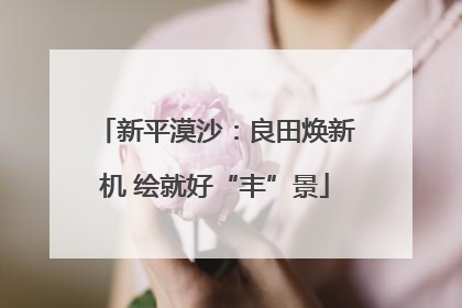 新平漠沙：良田焕新机 绘就好“丰”景