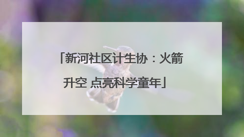 新河社区计生协：火箭升空 点亮科学童年