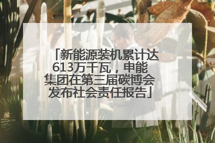 新能源装机累计达613万千瓦，申能集团在第三届碳博会发布社会责任报告