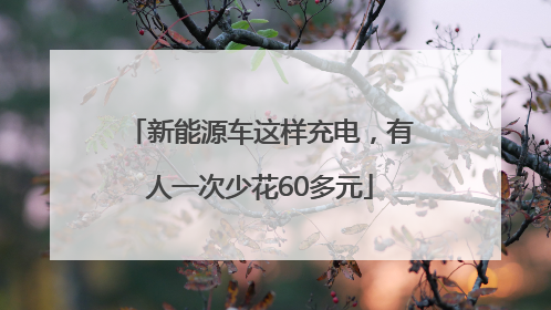新能源车这样充电，有人一次少花60多元