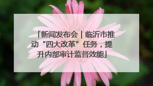 新闻发布会｜临沂市推动“四大改革”任务，提升内部审计监督效能