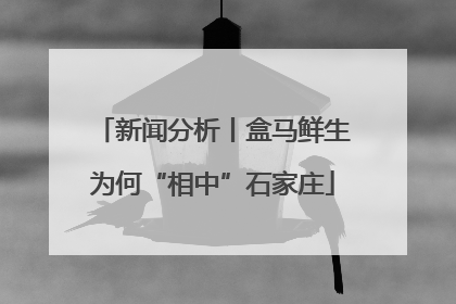 新闻分析丨盒马鲜生为何“相中”石家庄