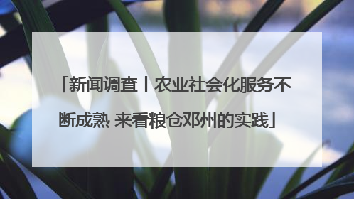 新闻调查丨农业社会化服务不断成熟 来看粮仓邓州的实践