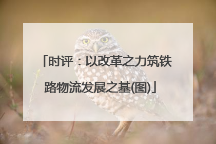时评：以改革之力筑铁路物流发展之基(图)