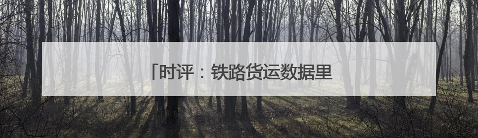 时评：铁路货运数据里的“中国经济脉动”