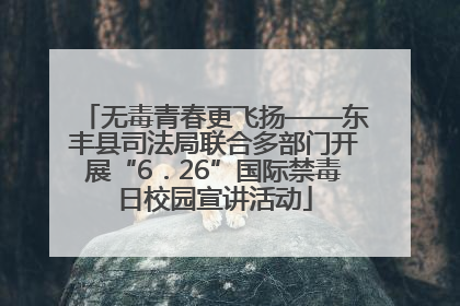 无毒青春更飞扬——东丰县司法局联合多部门开展“6．26”国际禁毒日校园宣讲活动
