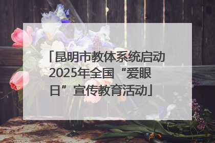 昆明市教体系统启动2025年全国“爱眼日”宣传教育活动