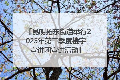 昆明拓东街道举行2025年第二季度楼宇宣讲团宣讲活动