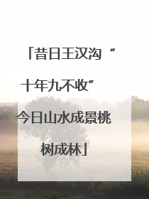 昔日王汉沟“十年九不收” 今日山水成景桃树成林