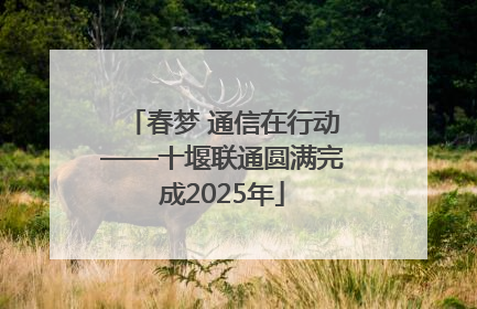 春梦 通信在行动——十堰联通圆满完成2025年