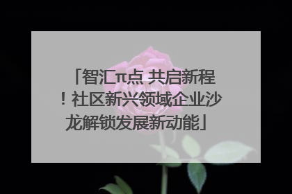 智汇π点 共启新程！社区新兴领域企业沙龙解锁发展新动能