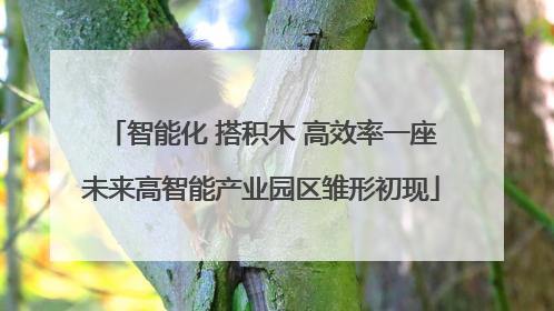 智能化 搭积木 高效率一座未来高智能产业园区雏形初现