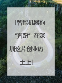 智能机器狗“奔跑”在深圳这片创业热土上