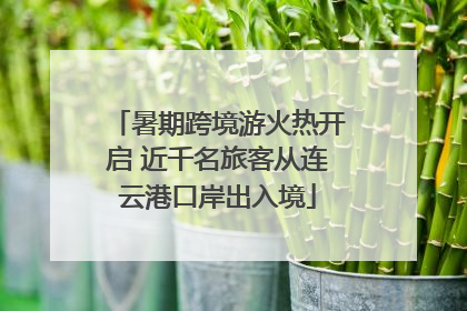 暑期跨境游火热开启 近千名旅客从连云港口岸出入境