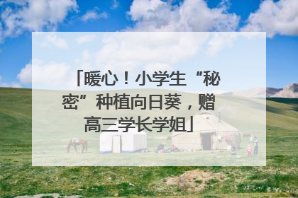 暖心！小学生“秘密”种植向日葵，赠高三学长学姐