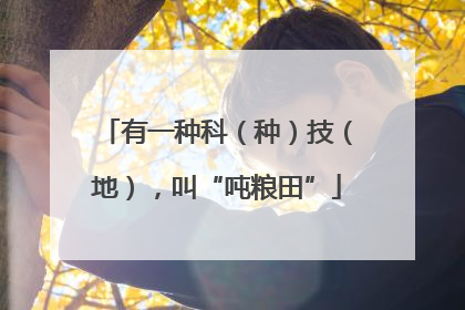 有一种科（种）技（地），叫“吨粮田”