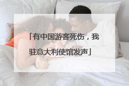 有中国游客死伤，我驻意大利使馆发声