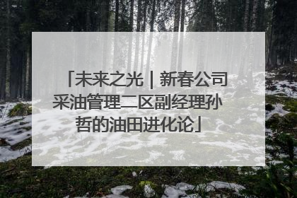 未来之光｜新春公司采油管理二区副经理孙哲的油田进化论