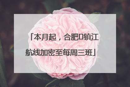 本月起，合肥⇋镇江航线加密至每周三班