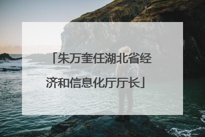 朱万奎任湖北省经济和信息化厅厅长