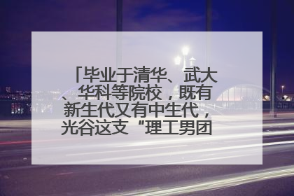 毕业于清华、武大、华科等院校，既有新生代又有中生代，光谷这支“理工男团”为何“出道”？