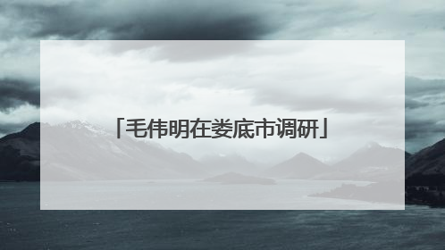 毛伟明在娄底市调研