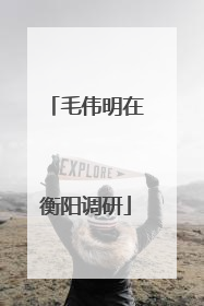毛伟明在衡阳调研