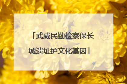 武威民勤检察保长城遗址护文化基因
