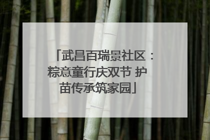 武昌百瑞景社区：粽意童行庆双节 护苗传承筑家园