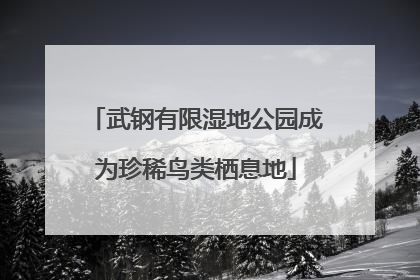 武钢有限湿地公园成为珍稀鸟类栖息地