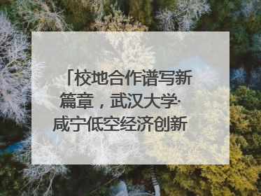 校地合作谱写新篇章，武汉大学·咸宁低空经济创新研究院签约成立