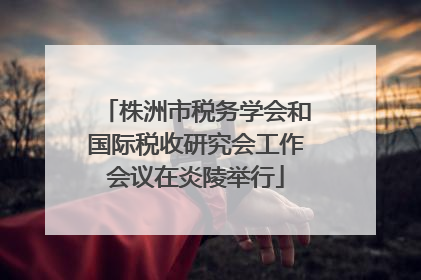 株洲市税务学会和国际税收研究会工作会议在炎陵举行