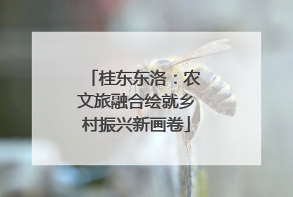 桂东东洛：农文旅融合绘就乡村振兴新画卷