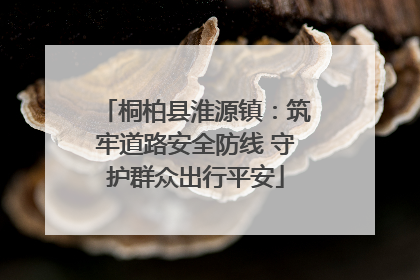 桐柏县淮源镇：筑牢道路安全防线 守护群众出行平安