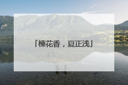 楝花香，夏正浅