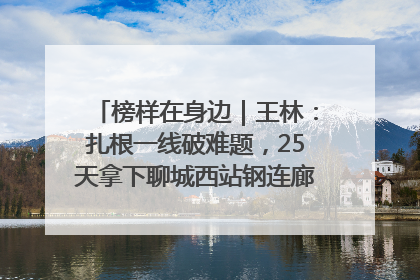 榜样在身边｜王林：扎根一线破难题，25天拿下聊城西站钢连廊“硬核”工程