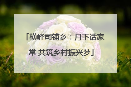 横峰司铺乡：月下话家常 共筑乡村振兴梦