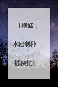 横峰：水稻制种插秧忙