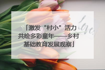 激发“村小”活力 共绘多彩童年——乡村基础教育发展观察