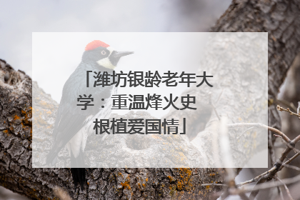 潍坊银龄老年大学：重温烽火史 根植爱国情