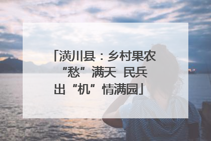 潢川县：乡村果农“愁”满天  民兵出“机”情满园